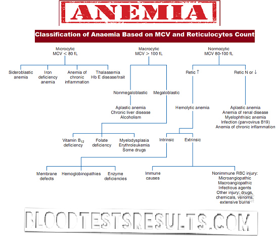 All Types of Anemia with Full Anemia Definition Chart and ...