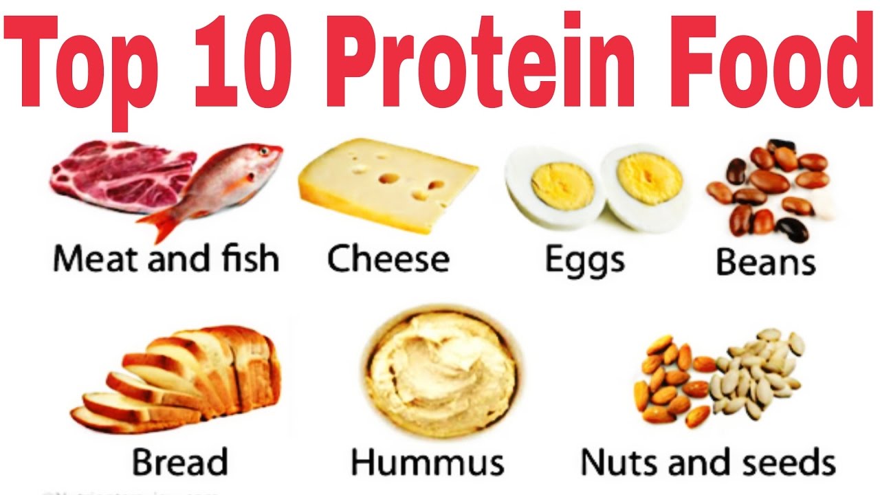 protein diets